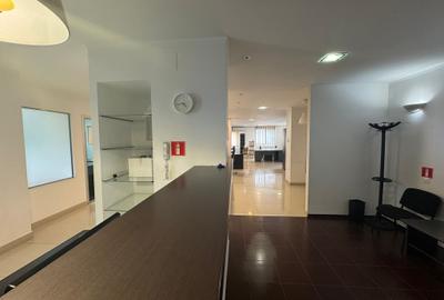 Petre Ispirescu – Spațiu Premium Birouri cu Parcare Privată - 3