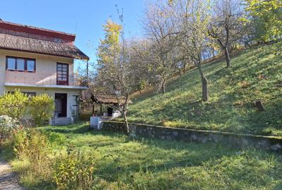 Vila Bughea de Jos - Campulung - 17