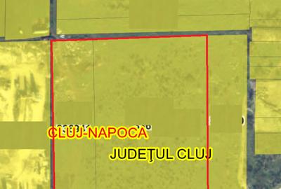 Teren in zona Emerson, 40.000 mp, front de 183 ml, perfect plan - 1