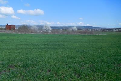 Teren in zona Sopor - 4