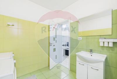 Casa individuala Balaceanca/Cernica langa A0 si outlet, curte 250 mp - 23