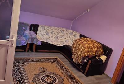 De vanzare Casa cu 3 camere si 2 parcele de teren comasate in Crai Nou - 6