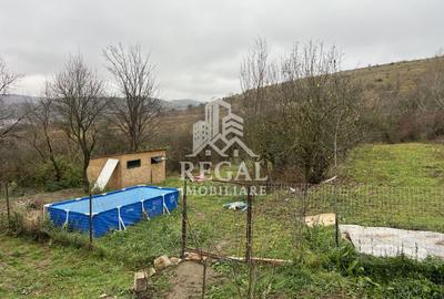 Două case individuale de vânzare în Teliuc –ideale pentru două familii - 19
