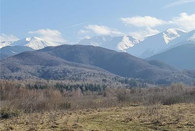 Teren intravilan 2500mp  pe Valea Avrigului,optim casa de vacanta - 4