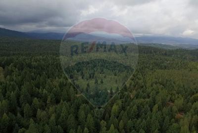 Teren extravilan parcelabil Călățele Pădure, zona Dealu Negru - 13