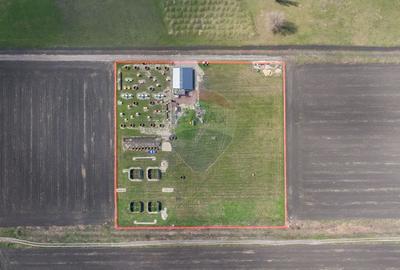 Teren intravilan 13.300 mp – Brașov | 0% COMISION - 1