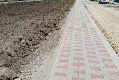 Bragadiru Centru Penny Plevnei - 5