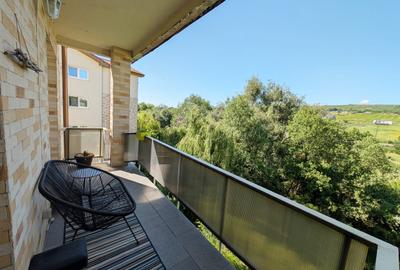 Apartament cu 2 camere la cheie In complex Terra pe Valea Chintaului - 16