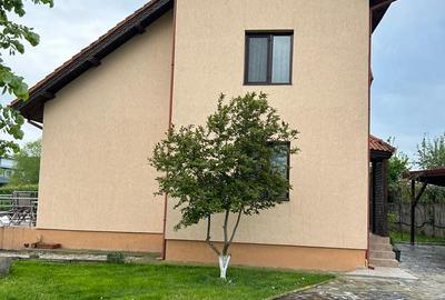 Vila superba  cu Piscina si 5000 mp teren - 6