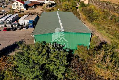 HALĂ INDUSTRIALĂ DE VÂNZARE – CRISTUR (Hunedoara – Deva) - 3
