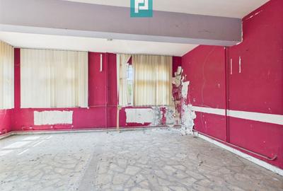 Pensiune cu teren 6464 mp în Geoagiu pe Râul Mureș - 11