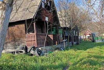 Teren Construcții intravilan de 6400 mp, în Dijir