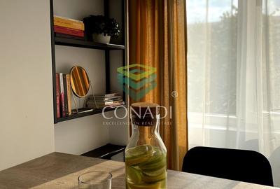 Garsoniera renovata modern str Nada Florilor - Teiul Domnei - 115