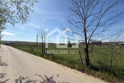 Teren intravilan 952 mp – Jucu de Mijloc, aproape de DN1C - 4