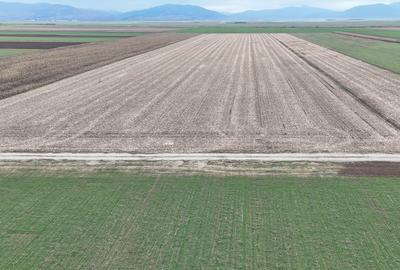 Teren Prejmer - Parc industrial - 7