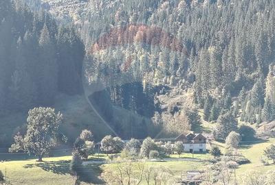 Casă în Vatra Dornei, zona Argestru, cu 11.541m.p. TEREN INTRAVILAN - 3