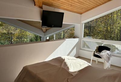 Vand cabana deosebita cu 4 cam. in mijlocul naturii,statiunea Bucin - 8