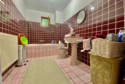 Descoperă o noua proprietate de excepție + teren suplimentar – Valea Voievozilor - 20