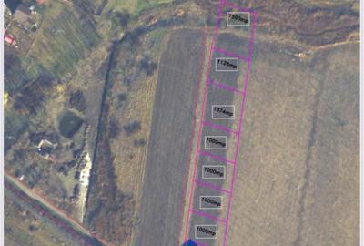 Locuri de casa 1000-1500mp in Catamarasti Deal - 1