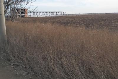 Terenuri intravilane de vanzare Focsani ,4,5 Ha Focsani - 10