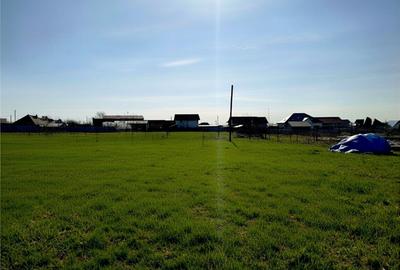 Teren Intravilan Salcea | 72.000 MP | Parcelabil | Investiție Majoră - 3