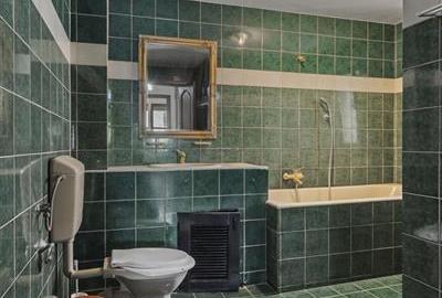 CASA DE VANZARE IN ZONA FLOREASCA-RAHMANINOV (D+P+1+M) - 25