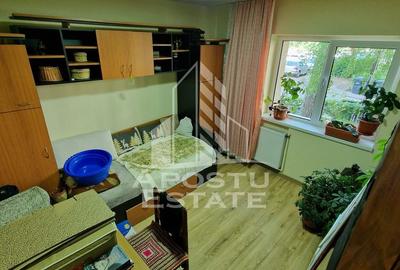 Apartament decomandat cu 2 camere mobilat si utilat,Calea Lipovei - 11