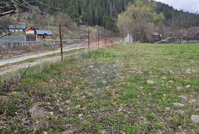 Teren 1,520mp Hangu / Strada Principala - 10