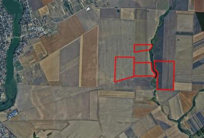 Teren agricol extravilan de 492000 mp, în Cernica