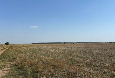 Teren 13.500 mp, investitie ! - 1