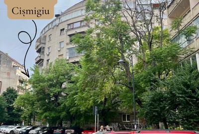 APARTAMENT 2 CAMERE | SALA PALATULUI–CIȘMIGIU | PRIMA INCHIRIERE | PET-FRIENDLY - 16