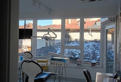 Proprietar vand doua vile in zona Calea Plevnei - 8