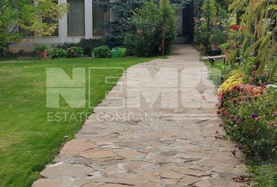 Casă/Vila + Teren 13 Ari de Vânzare |Lisaura/Suceava I 280.000 Euro - 29