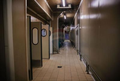 Spațiu industrial de 1,700mp de închiriat în zona Vasile Alecsandri - 1