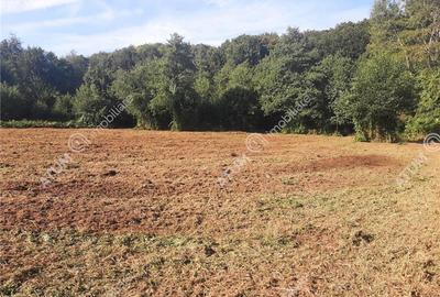 Teren intravilan de vanzare 1856 mp in Avrig zona Valea Avrigului - 3