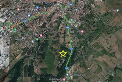 Teren intravilan la liziera padurii Cisnadie -Tocile,14.100mp cu PUZ - 2