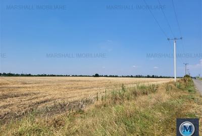 Teren intravilan de vanzare, zona Exterior Sud, 9903 mp #16110 - 4
