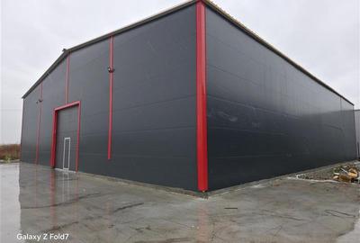 Inchiriere depozit/hala/spatiu industrial Theodor Pallady - Gara Catelul - 3