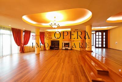 Vila individuala deosebita, de vanzare, zona Popas Pacurari - 1