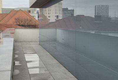 Elegant Top-Floor Apartment with Panoramic Terrace near Victoriei Avenue - 17