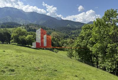 Teren cu priveliște spectaculoasă în Bran – Sohodol - 13