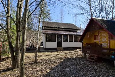 Casa de Vacanta Lepsa - 1