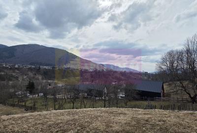 Teren intravilan de vanzare in Valea Doftanei - 9