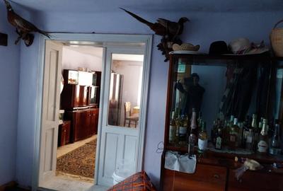 Casa cu teren de vânzare în zona de munte - 1