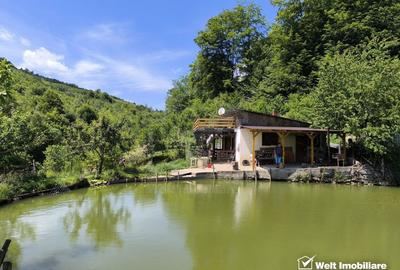 Casa de vacanta, cu lac, 5640 mp teren, Huta, com. Chiuiesti, jud. Cluj - 2