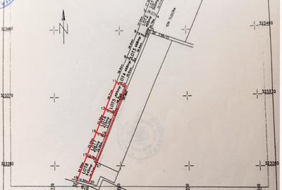 Domnesti - Ciutaci, vanzare 4 loturi de teren intravilan - 9