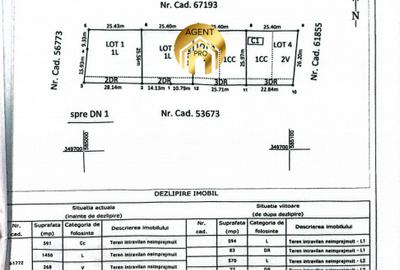 4 X Loturi Teren Intravilan in Saftica – Balotesti |  100m de DN1 - 8