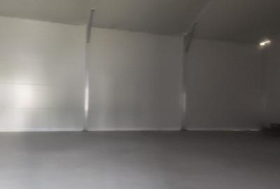 Hala noua 600 mp Giurgiului ( Progresul ) - 2