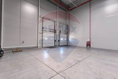 Spațiu industrial clasa A zona de Nord - 6