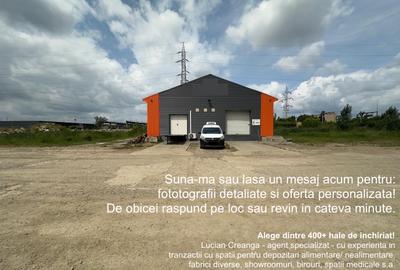 Hala, rampa, platforma, de la 117mp la 234mp, zona Piatra Chis - 1